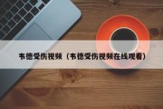 韦德受伤视频（韦德受伤视频在线观看）