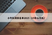 小牛队球员名单2015（15年小牛队）