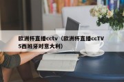 欧洲杯直播cctv（欧洲杯直播ccTV 5西班牙对意大利）