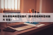 勒布朗詹姆斯壁纸图片（勒布朗詹姆斯壁纸图片 扣篮）