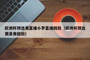 欧洲杯预选赛直播小罗直播回放（欧洲杯预选赛录像回放）