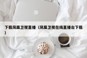 下载凤凰卫视直播（凤凰卫视在线直播台下载）