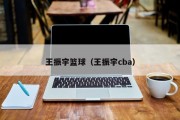 王振宇篮球（王振宇cba）