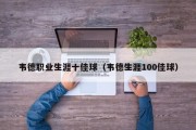 韦德职业生涯十佳球（韦德生涯100佳球）