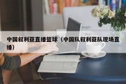 中国叙利亚直播篮球（中国队叙利亚队现场直播）