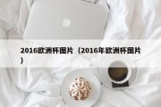 2016欧洲杯图片（2016年欧洲杯图片）