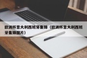 欧洲杯意大利西班牙集锦（欧洲杯意大利西班牙集锦图片）