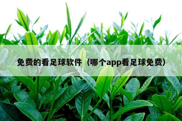 免费的看足球软件（哪个app看足球免费）-第1张图片-个人经验分享